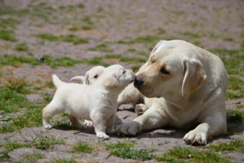 10 ������� ��� �����������