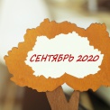      1  2020