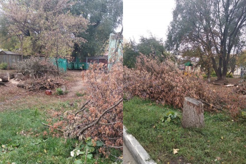 Орловчане заставили УК избавиться от несанкционированной свалки во дворе Орловчане заставили УК избавиться от несанкционированной свалки во дворе