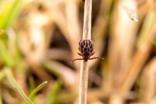 �����: �������� ���������!