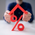   2%  :        