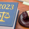       2023 