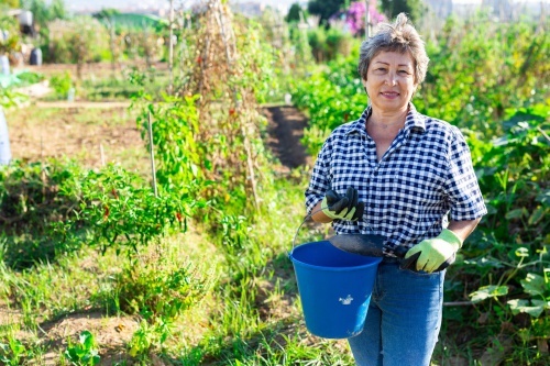 Как выйти из состава Правления СНТ