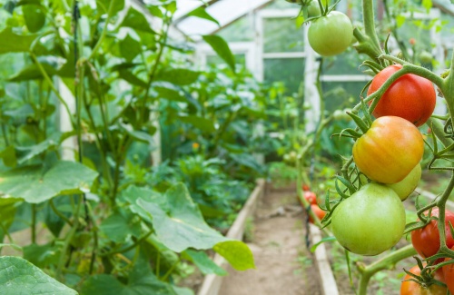 �������� ������� � �������: �� ������� ������