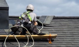 ����� ������ ������ �� ������. � ���������� ������ �������� ������� ������� �����