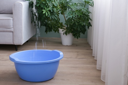 Важней всего погода в доме: жительница Ярославля взыскала с ЖЭКа 183 тысячи за мокрый потолок Важней всего погода в доме: жительница Ярославля взыскала с ЖЭКа 183 тысячи за мокрый потолок