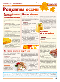 страница №15