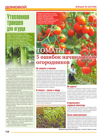 страница №12
