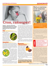 страница №13