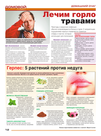 страница №12